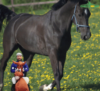 Man Riding Stuffed Horse With Chltnh GIF