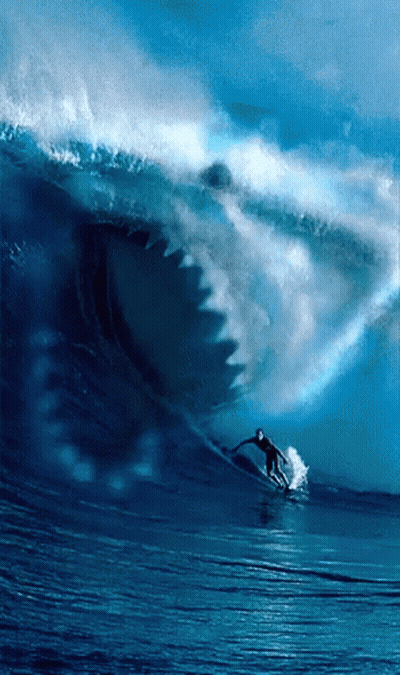 Man Riding Wave With Shark In Background GIF