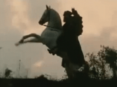 Man Riding White Horse On Hind Legs GIF