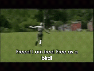 Man Running Freeee Free As A Bird GIF