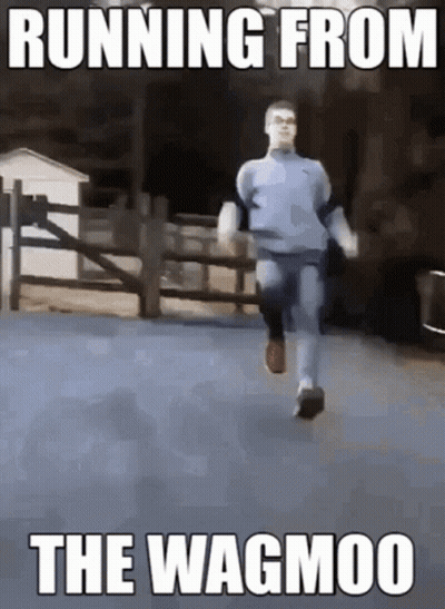 Man Running From Wagmoo GIF