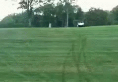 Man Running Preach Went To Hollywood GIF