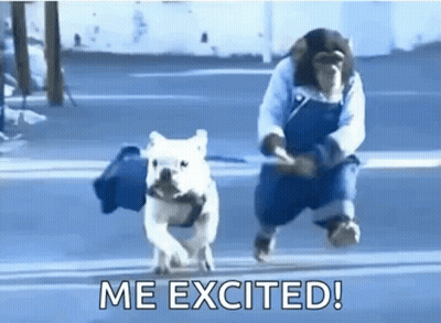 Man Running With Dog On Leash GIF