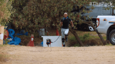 Man Running With Dog On Leash #ThePack GIF