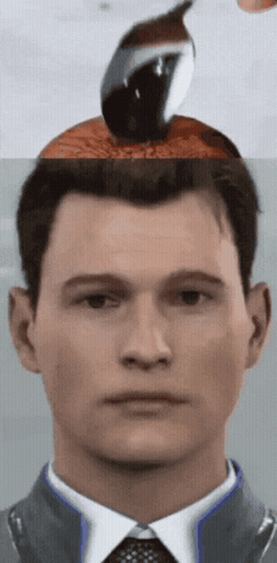Man's Face With Bird On Head GIF