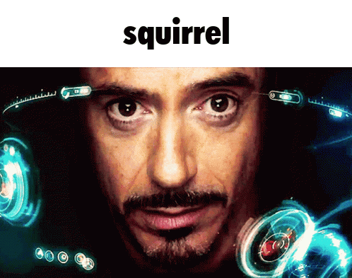 Man's Face With Squirrel Text GIF
