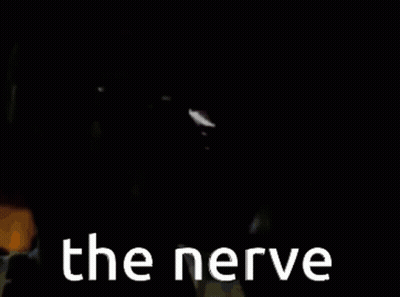 Man's Face With The Nerve GIF