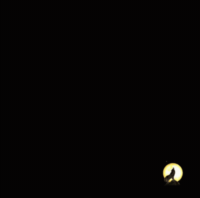 Man's Face With Wolf Silhouette In Dark GIF