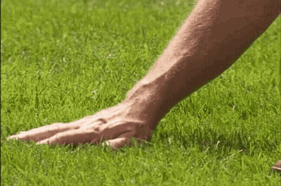 Man's Hand Laying On Grass GIF