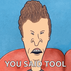 Man Said Tool GIF