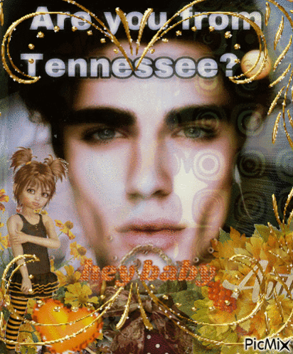 Man Saying Are You From Tennessee GIF