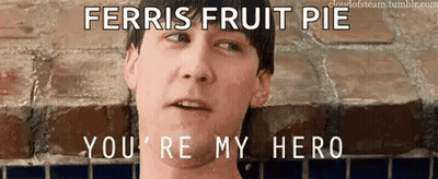 Man Saying Ferris Fruit Pie You're My Hero GIF