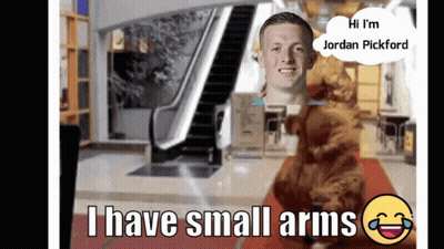Man Saying Hi I'm Jordan Pickford GIF