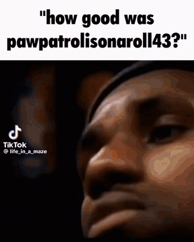 Man Saying How Good Was Pawpatrolisonaroll43 GIF