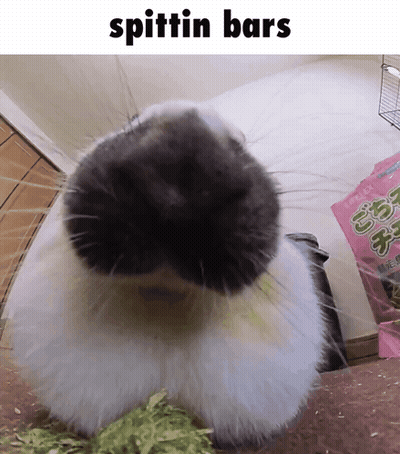 Man Saying I Wasn't Late GIF