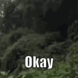 Man Saying Okay With  Awkward Smile GIF