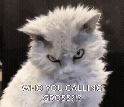 Man Saying You Got It? Good GIF