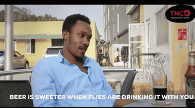 Man Says Beer Is Sweeter When Flies Are Drinking It GIF