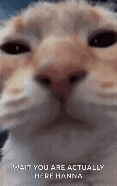 Man Says I Have Mixed Emotions Netflix Ad GIF