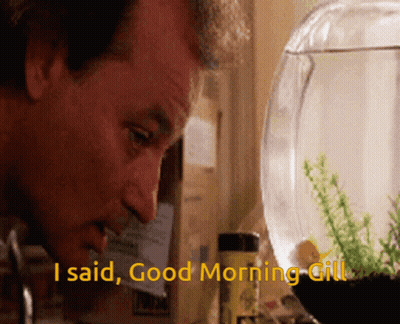 Man Says I Said Good Morning Gill To Fish Bowl GIF