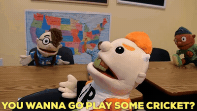 Man Says I Said I'm Fine Blurry Photo GIF