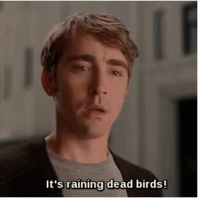 Man Says It's Raining Dead Birds