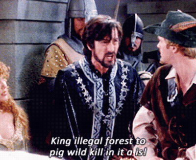 Man Says King Illegal Forest To Pig Wild Kill In It All GIF
