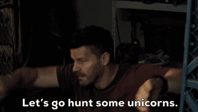 Man Says Let's Go Hunt Some Unicorns GIF