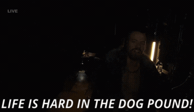 Man Says Life Is Hard In The Dog Pound GIF