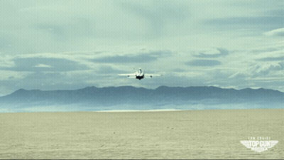 Man Says Want Me To Shake It Off And Feed It To Ya GIF
