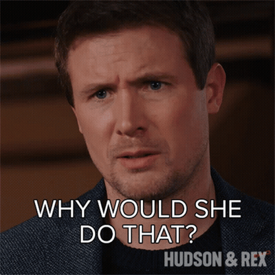 Man Says Why Would She Do That Hudson & Rex Poster