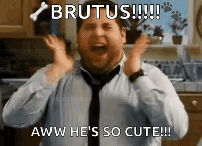 Man Screaming Brutus Aww He's So Cute GIF