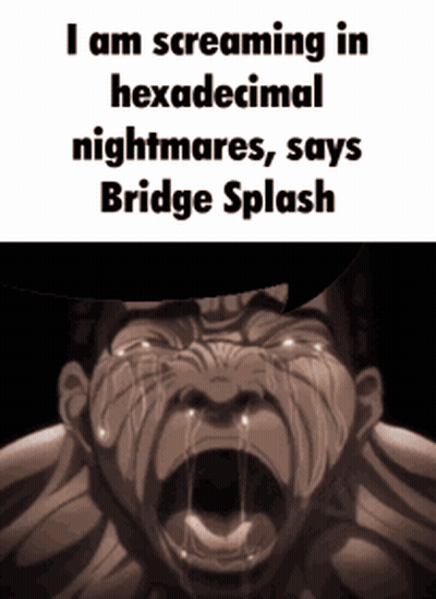 Man Screaming I Am Screaming In Hexadecimal Nightmares Bridge Splash GIF