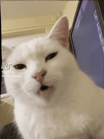 Man Selfie It's A Cruel World For A Nonchalant GIF
