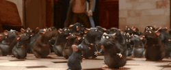 Man Shocked By Rat Showering GIF