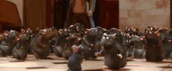 Man Shocked By Rats Ratatouille GIF