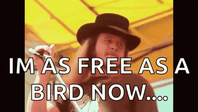Man Singing Im As Free As A Bird Now GIF