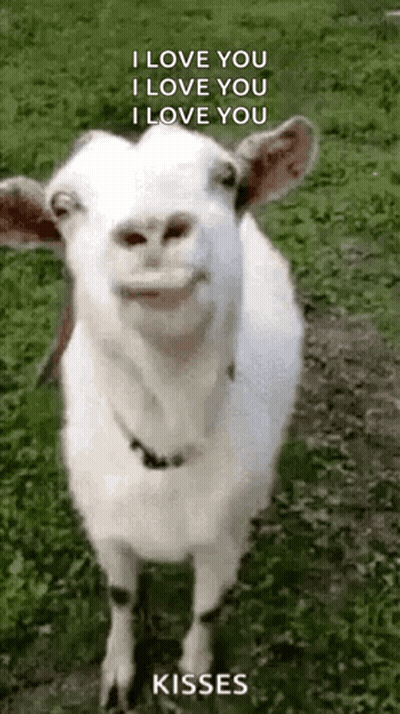 Man Singing Into Pancakes Microphone GIF