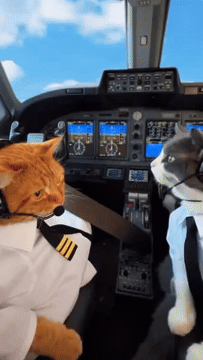 Man Singing This Is What Dreams Are Made Of GIF