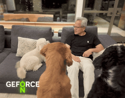 Man Sits On Couch Surrounded By Dogs GEFORCE N GIF