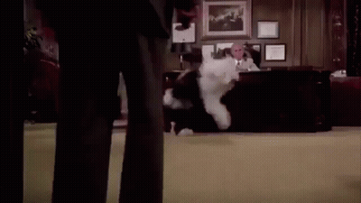 Man Sitting At Desk With Dog Running Around GIF