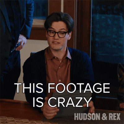 Man Sitting At Table This Footage Is Crazy Hudson & Rex GIF