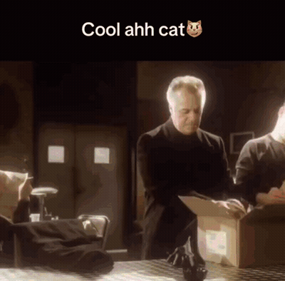 Man Sitting At Table With Cool Ahh Cat GIF