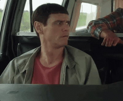 Man Sitting In Back Seat Of Car With Laptop GIF