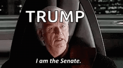 Man Sitting In Chair Saying Trump I Am The Senate GIF