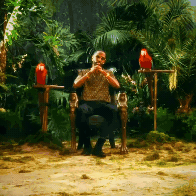 Man Sitting In Chair With Two Parrots On Branch GIF
