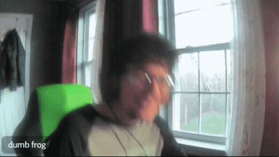 Man Sitting In Front Of Window With Dumb Frog Written On Screen GIF