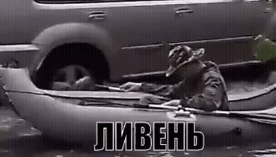 Man Sitting In Kayak Next To Car GIF