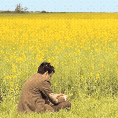 Man Sitting In Yellow Flower Field GIF