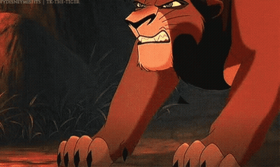 Man Sitting Next To Lion In Field GIF